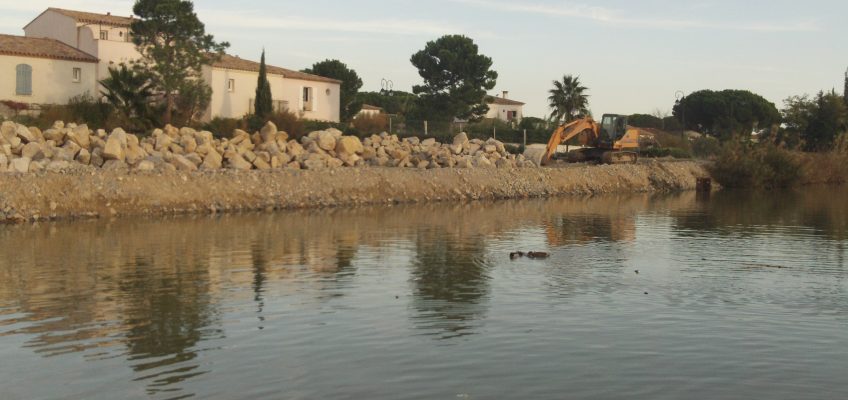 Berges de Port du Roy Aigues Mortes 11